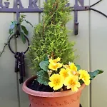 Cosy In With Balcony, 32 M², View * Galway