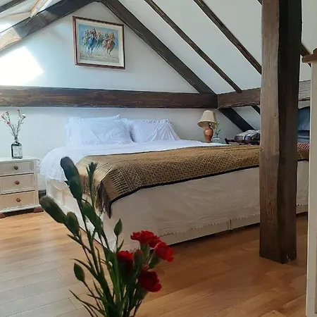 Cosy In With Balcony, 32 M², View Lägenhet *