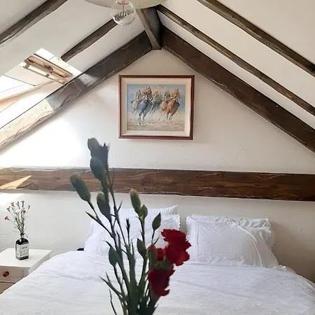 Cosy Apartment In Galway With Balcony, 32 M², City View Galway