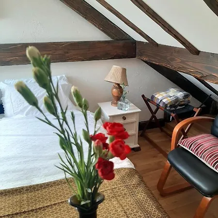 Cosy In With Balcony 32 M² View Lejlighed *