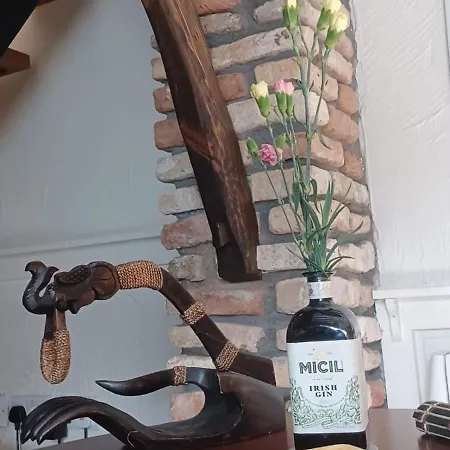 Cosy In With Balcony, 32 M², View Lägenhet Galway