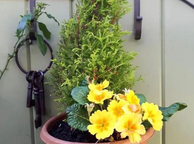 Cosy In With Balcony, 32 M², View * ゴールウェイ