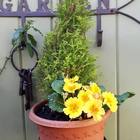 Cosy Apartment In Galway With Balcony 32 M² City View * Galway
