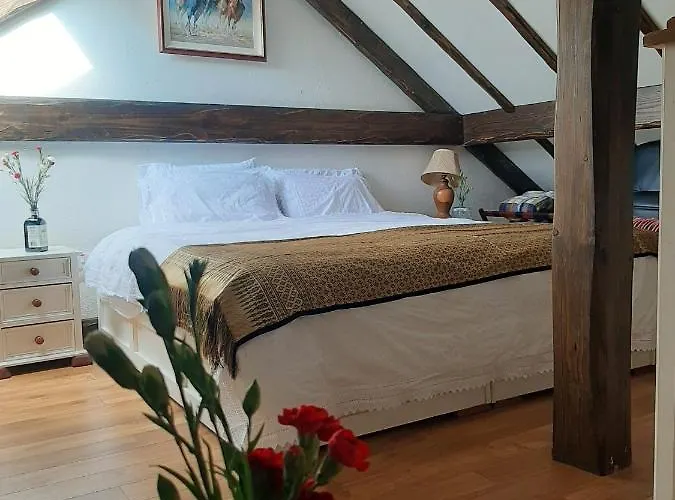 Cosy In With Balcony, 32 M², View Appartement *