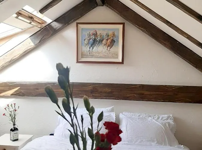 Cosy In With Balcony, 32 M², View Galway